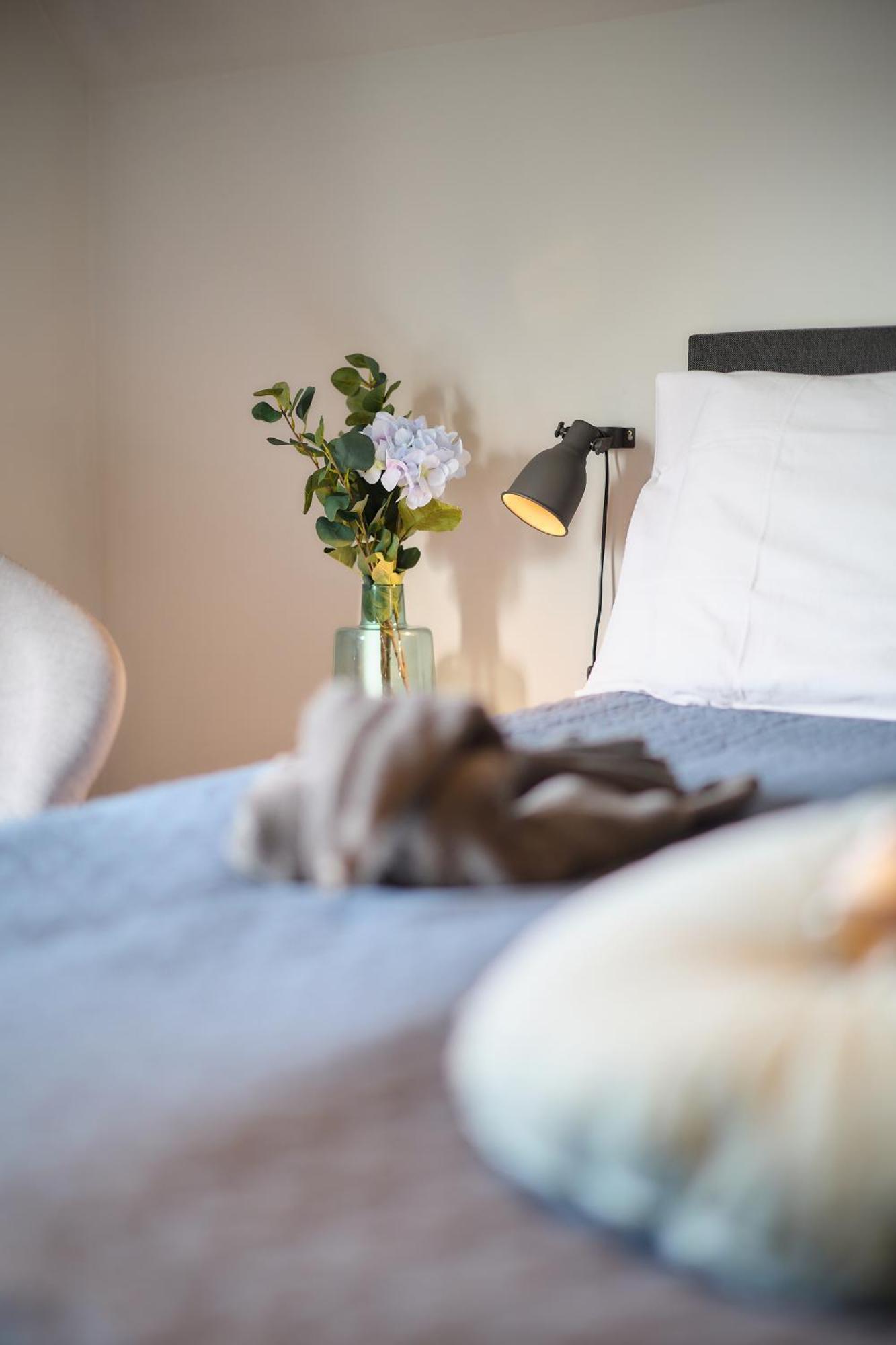 Villa Cecha B&B &Wellness Остенде Екстериор снимка